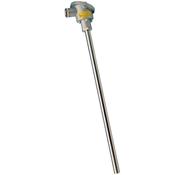 Resistance thermometers - Amplified output with interchangeable MgO insert